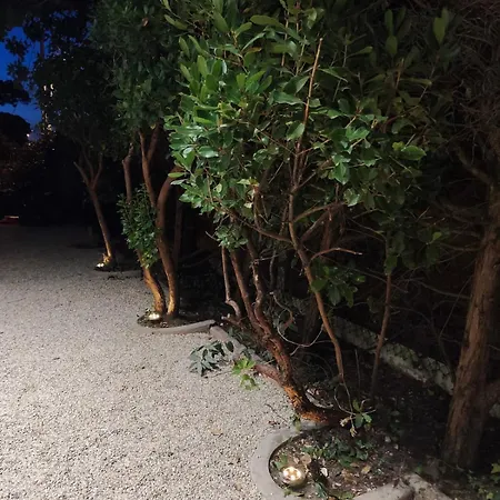 Villa Familiale Spacieuse Confort Proche Du Marché Et De L'océan