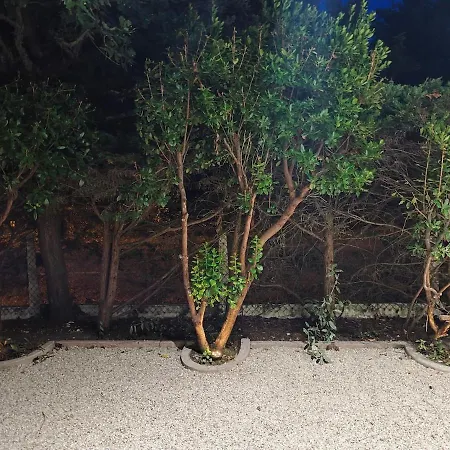 Familiale Spacieuse Confort Proche Du Marché Et De L'océan Villa *
